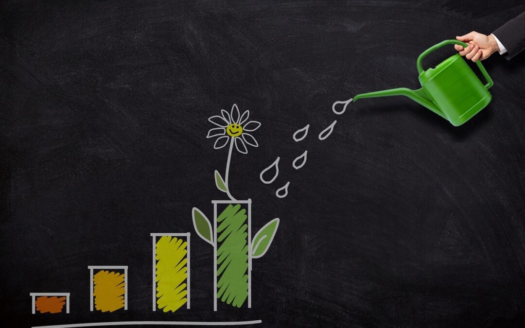 Credit Union Savings Accounts: Tips for Growing Your Money