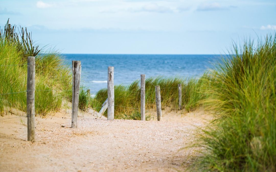 Vacation Loans vs. Credit Cards: What’s the Best Choice?